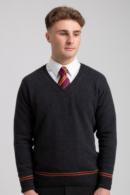 OFFICIAL WARNER BROS. HARRY POTTER GRYFFINDOR SWEATER